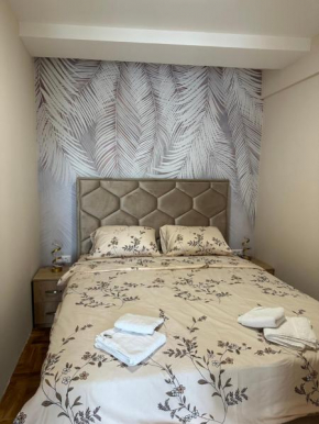 Apartman Happy Moments Kraljevo